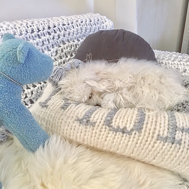 Mopmamaさんの実例写真