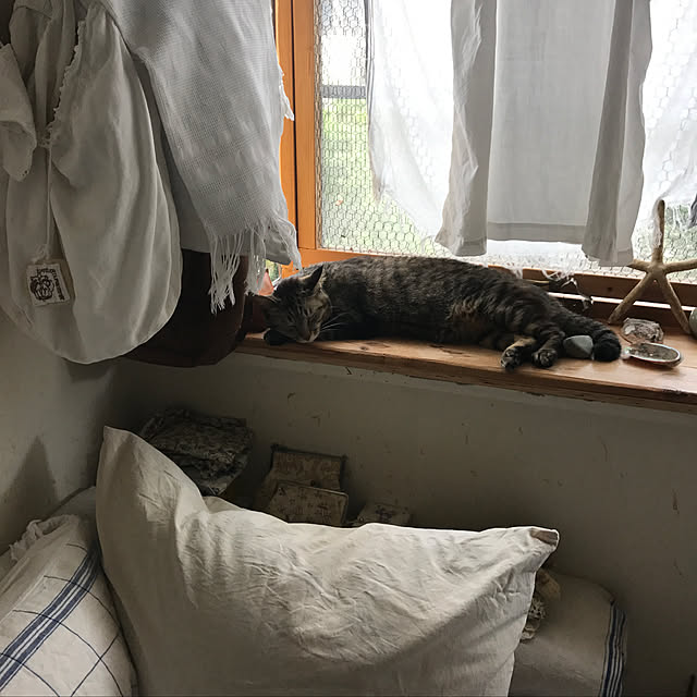 neko-2.2.2runmuさんの実例写真