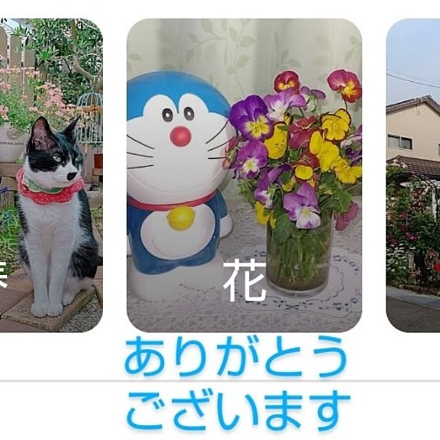 katさんの部屋