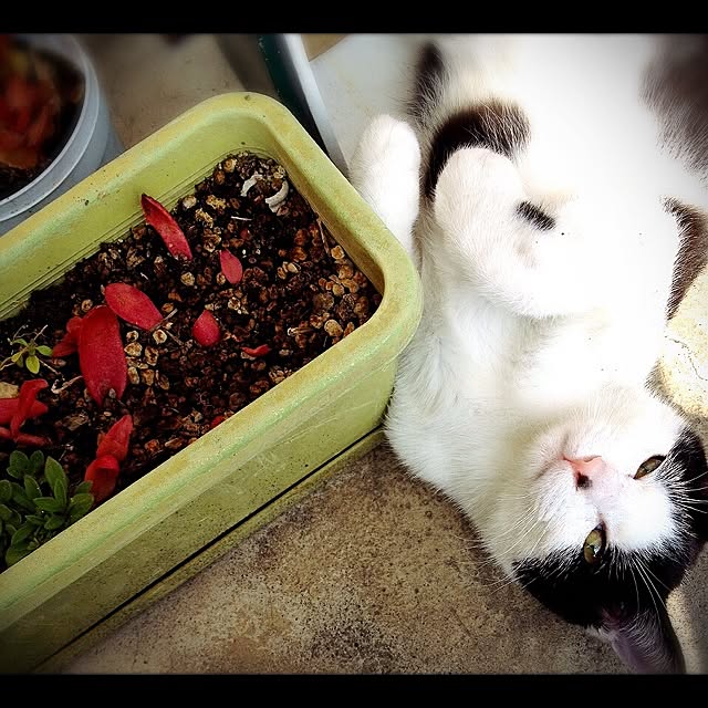 Tom.さんの実例写真