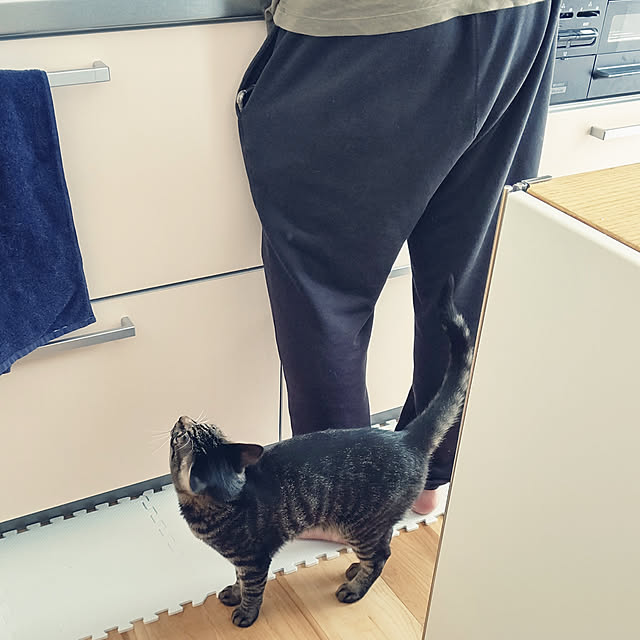 hihaさんの実例写真