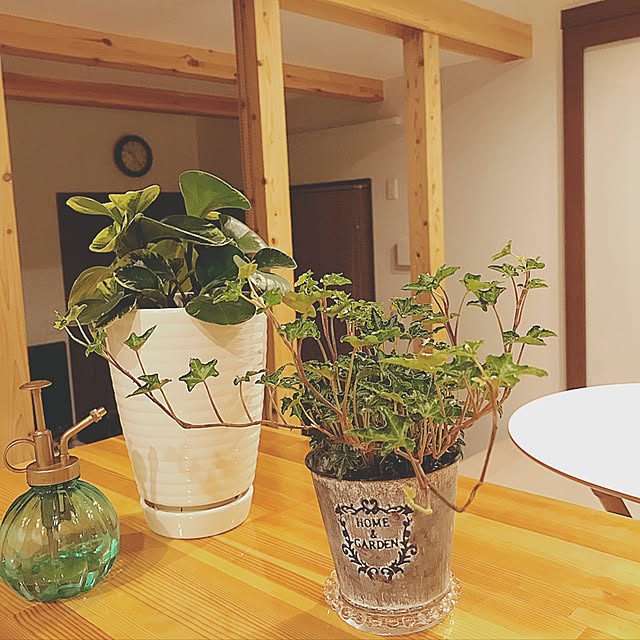 sayさんの実例写真