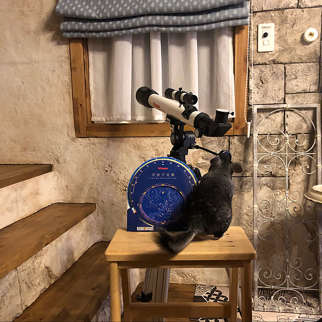 bambiさんの実例写真