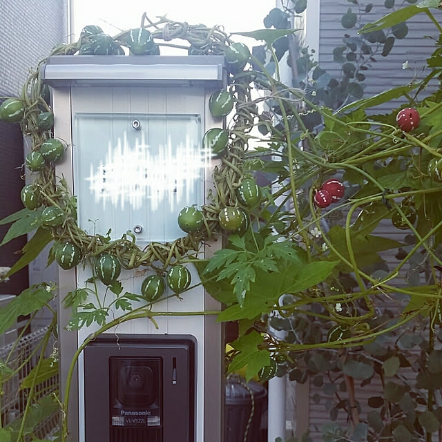 nia1213さんの実例写真