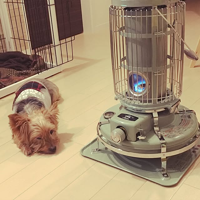 funさんの実例写真