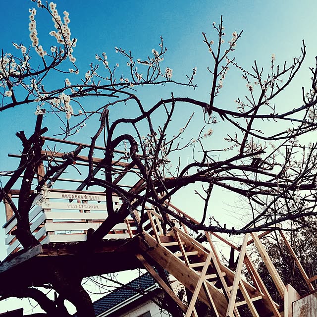 部屋全体のインテリア実例 - 2017-03-04 17:44:01