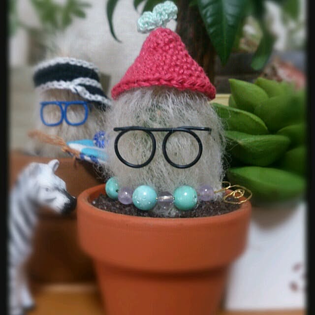 ayaさんの実例写真
