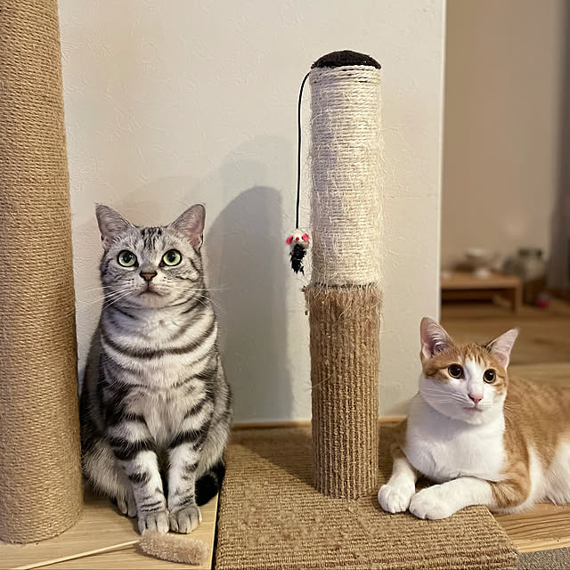 Aさんの実例写真