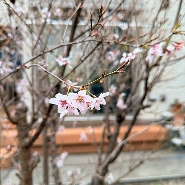 nuruiさんの実例写真