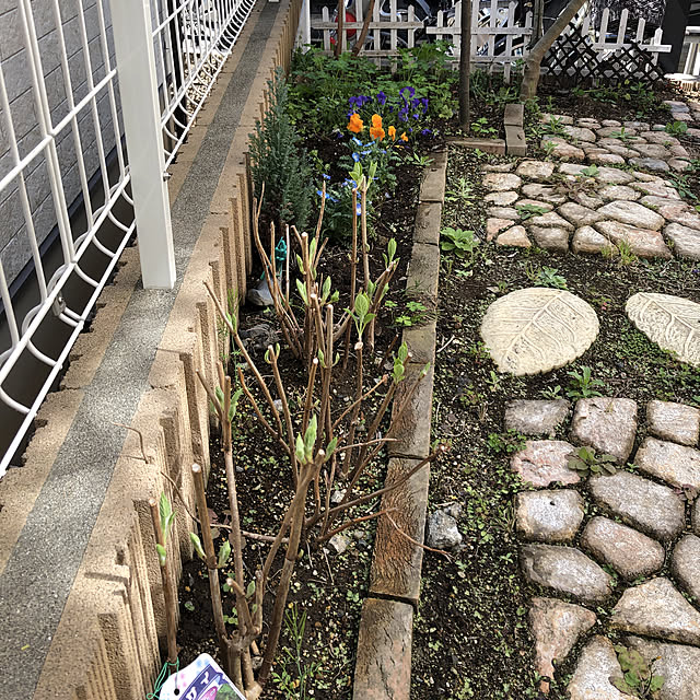 pikarunさんの実例写真