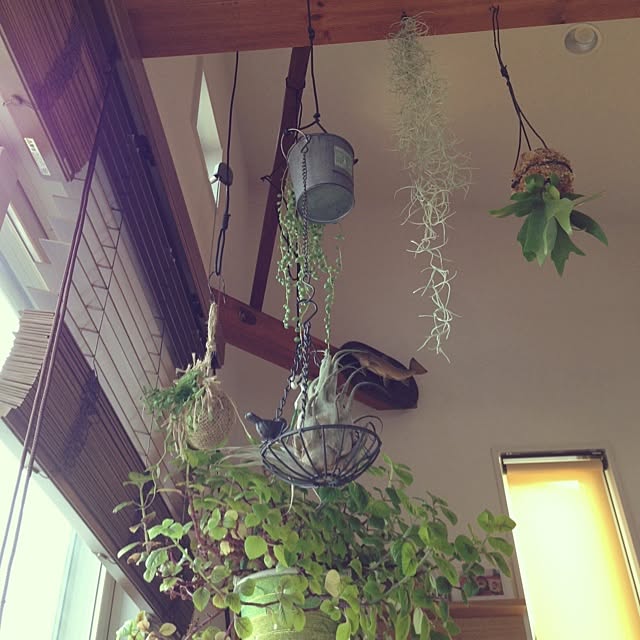 mt_hippoさんの実例写真