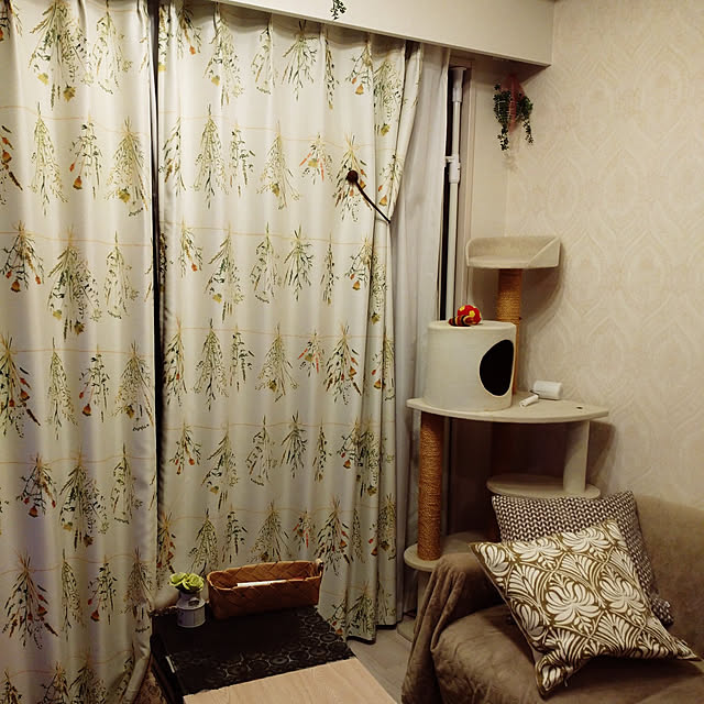 filament0109さんの実例写真