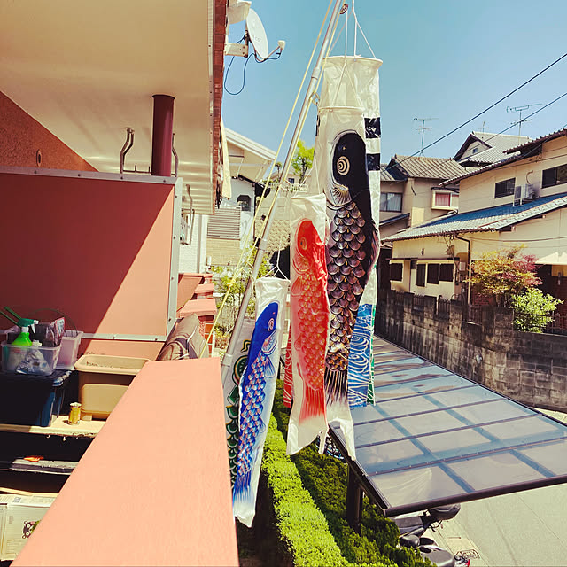 noriさんの実例写真