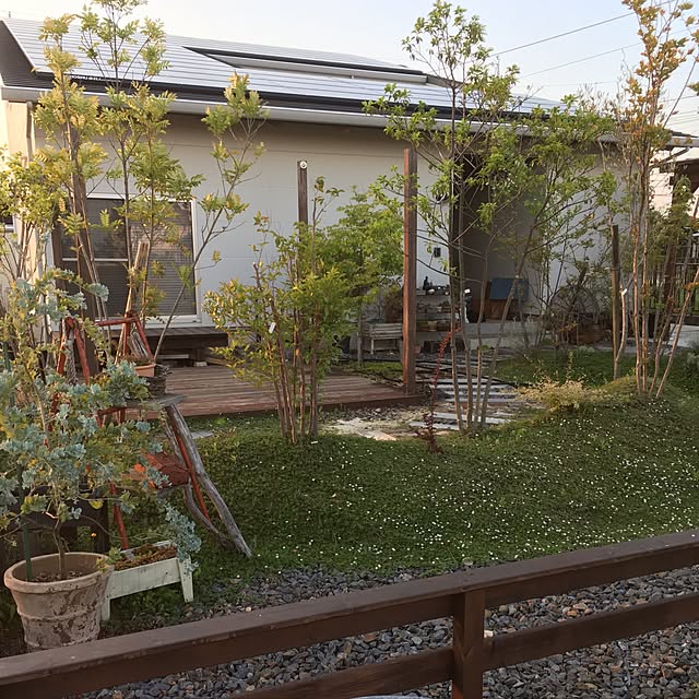実例写真