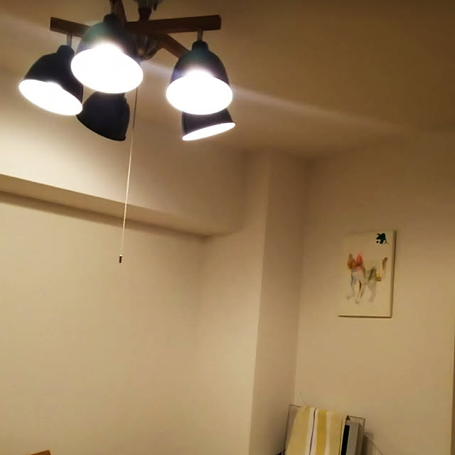 shiroayaさんの実例写真