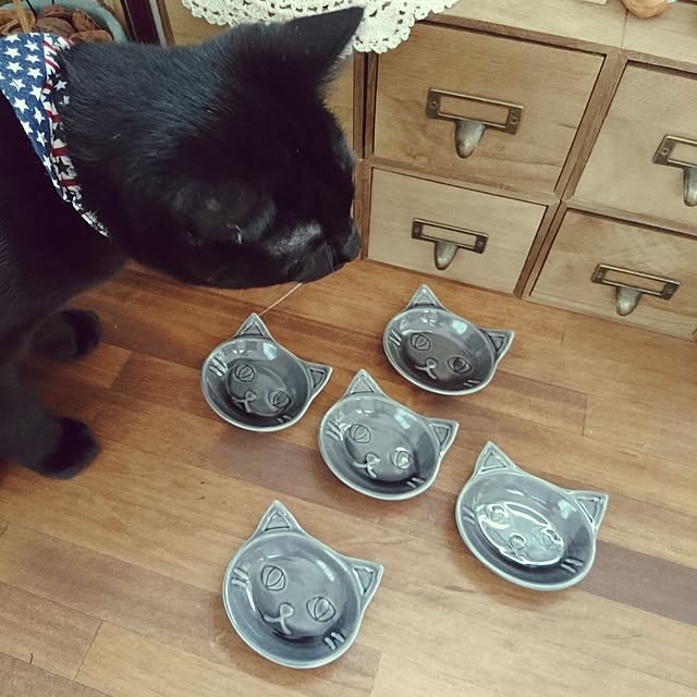 hiroさんの実例写真