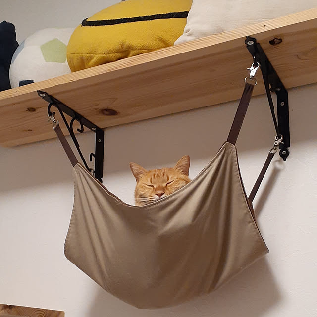amtさんの実例写真