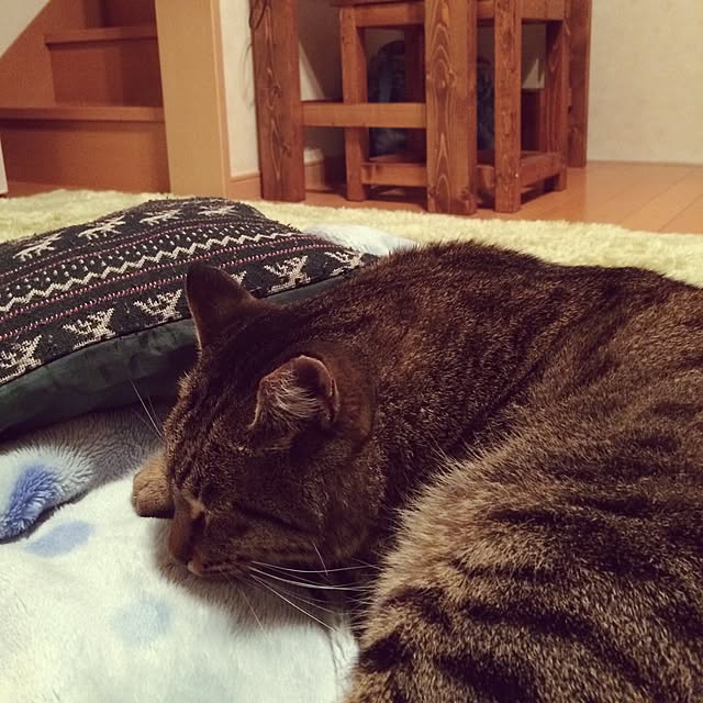 panchanさんの実例写真