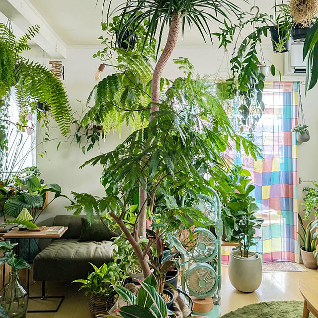 perfectspaceさんの実例写真