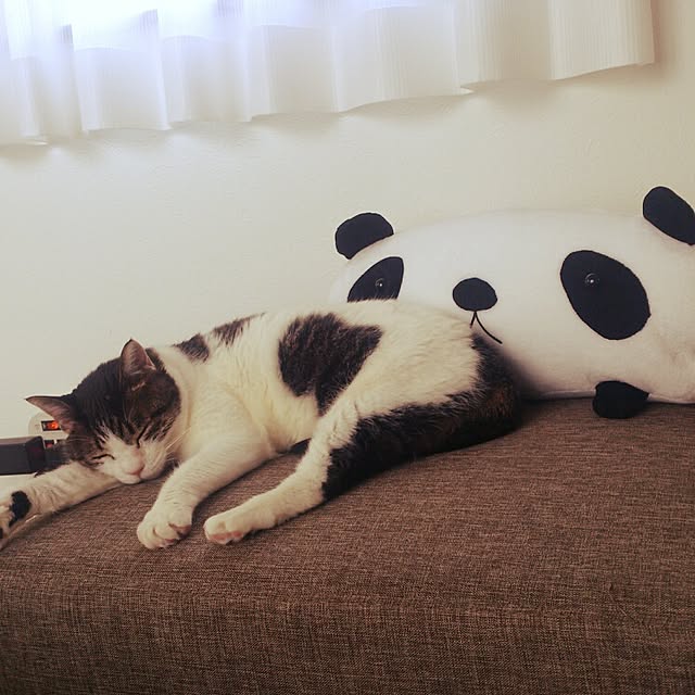 minkokoさんの実例写真