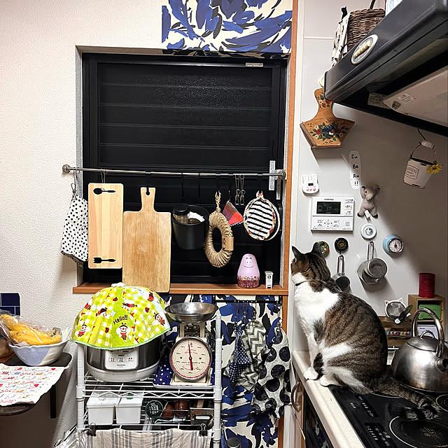 jijiさんの実例写真
