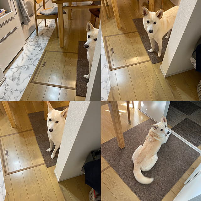 tanboさんの部屋