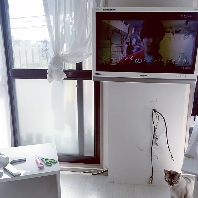 noelさんの実例写真