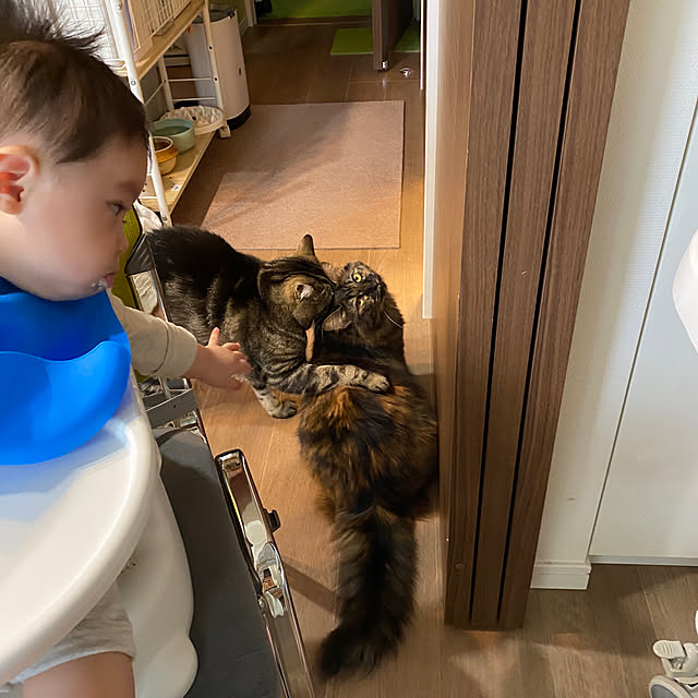 mikomaruさんの実例写真