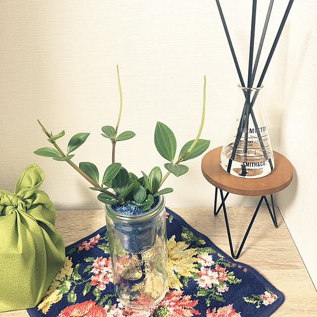 観葉植物/リビングのインテリア実例 - 2019-04-18 21:19:19
