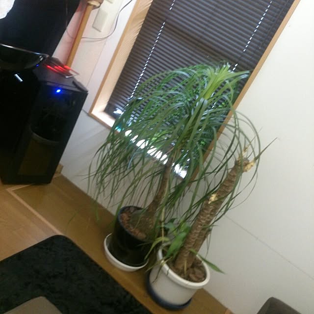 daichiさんの実例写真