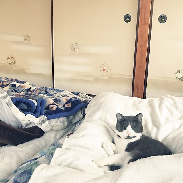 hacchiさんの実例写真