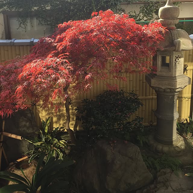 mappyさんの実例写真