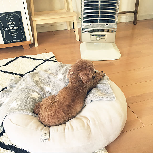 haru._.hanaさんの実例写真