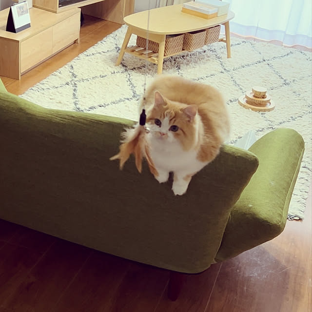 junさんの実例写真