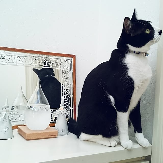 hiyo.pietさんの実例写真