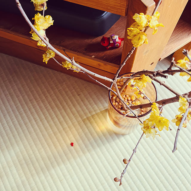 simayaさんの実例写真