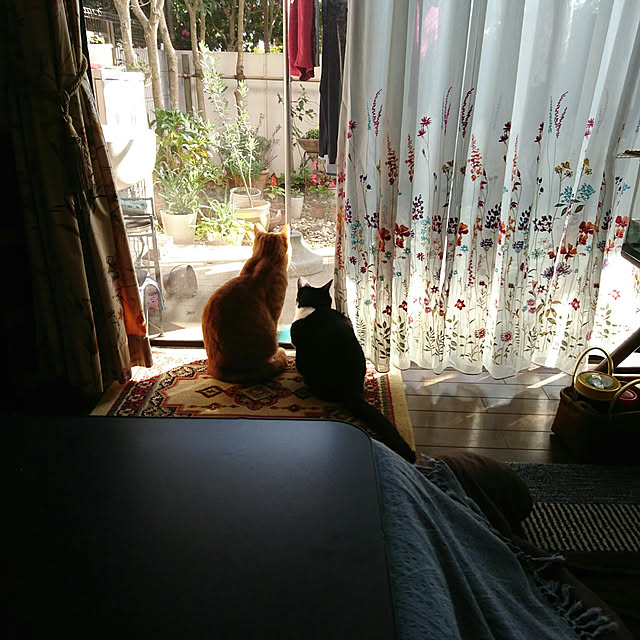 okyosan101さんの実例写真