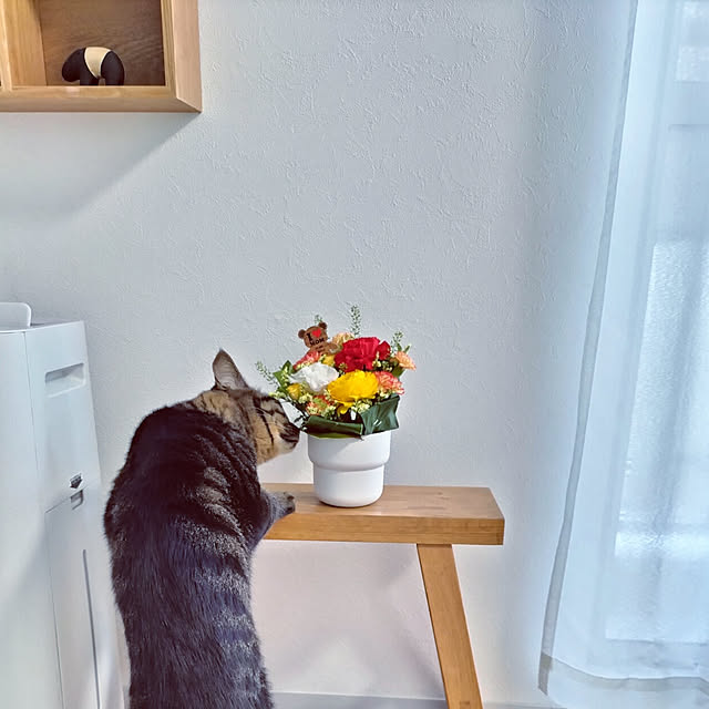 hihaさんの実例写真