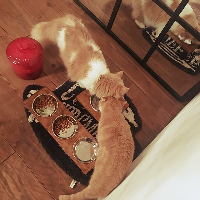 maruさんの実例写真