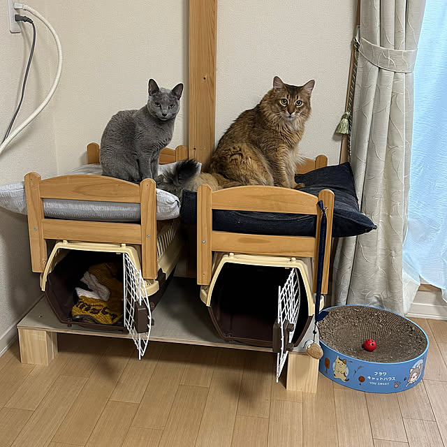 meさんの実例写真