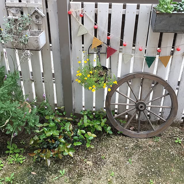 tomoさんの実例写真