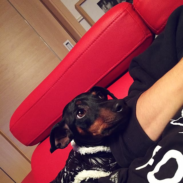 RYORTERさんの実例写真
