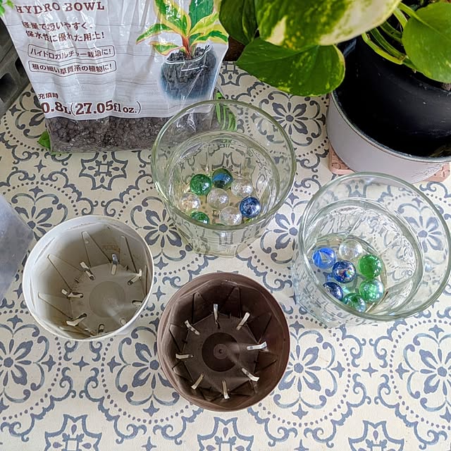 mi-saさんの部屋