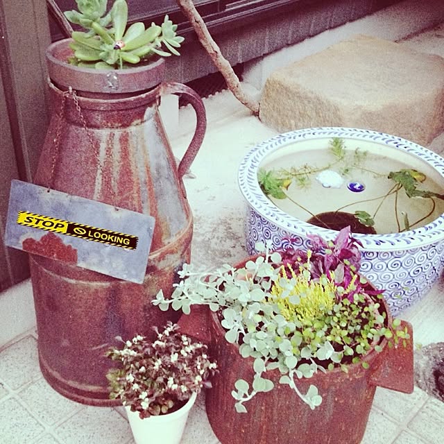 botanさんの実例写真