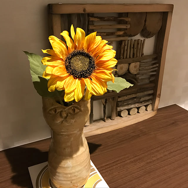 megaphonic0510さんの実例写真