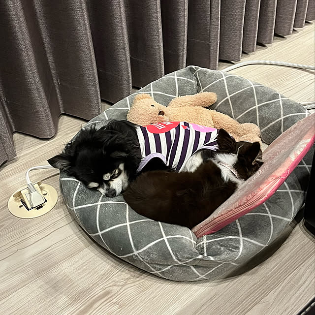 Hannahさんの実例写真
