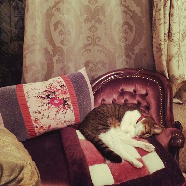 emmyyさんの実例写真