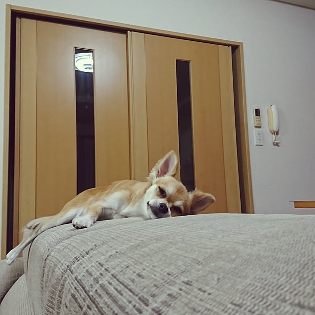 nattimomoさんの実例写真