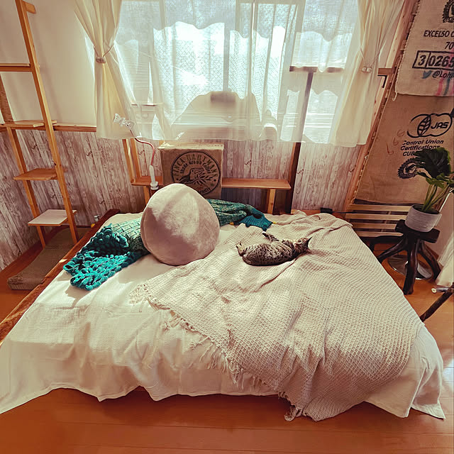 Mさんの実例写真