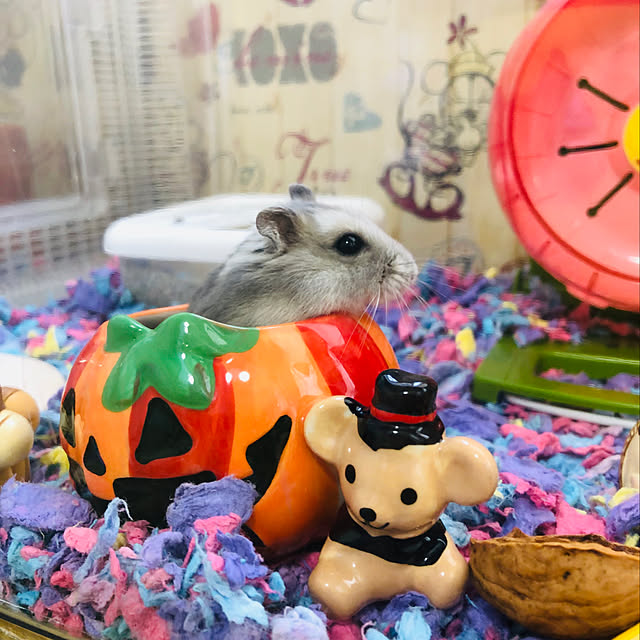 38さんの実例写真